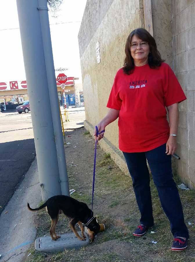 az small dog rescue phx 03