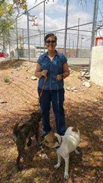 az small dog rescue 02 2 az small dog rescue 02 2